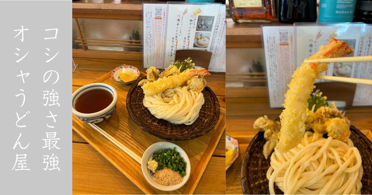 うどんマルナナ（豊田市）　大エビ海鮮天うどんのコシの強さ凄い！メニュー情報まとめ